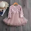 Meisjesjurken Bloem Kant Elegante Prinsessenjurk voor Meisjes Lange Mouw Herfst Winter Kinderkleding Bruiloft Verjaardag Meisje Feestjurken