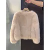 Manteau de fourrure pour femme, pull, cardigan court en peluche de vison, veste écologique, tempérament épais, chaleur de rue, petit style parfumé