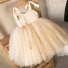 Girl's Dresses Baby Girl Tulle Dress Princess Party Tutu Fluffy Dress Flower Wedding Champagne Gown Children Clothing Kids Clothes Vestidos