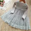 Mädchenkleider Süßes Mädchen Blumenkleid Prinzessin Spitzendesign Baby Mädchen Partykleid Mädchen Kinderkleidung Sommer Tutu Casaul Kinderkleidung 2-7T