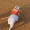 Zaino per cani Mini Pet Zaino da esterno Imbracatura portatile e multifunzionale per escursioni a piedi