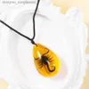 Hanger Kettingen GEITERI Schorpioen Amber Hanger Kettingen Voor Mannen Unisex Natuurlijke Waterdruppel Hars Insect Choker Sieraden Accessoires GroothandelL231218