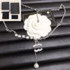 Collane da donna Ciondolo a catena Placcato oro 18 carati Argento Acciaio al titanio Designer Marchio Lettera Collana girocollo con perle di cristallo Gioielli da sposa Regalo di Natale con scatola