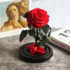 Coronas De Flores Decorativas La Bella Y La Bestia Rosa Roja En Una Cúpula De Vidrio Sobre Rosa Sala De Estar Dormitorio Decoraciones De Mesa Regalos Para El Día De San Valentín Regalos De Cumpleaños 231218