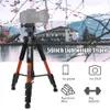 Supporti ZOMEI Q111 Treppiede da viaggio portatile in lega di alluminio Testa panoramica 142 cm/56 "Piastra a sgancio rapido per telefono SLR DSLR Supporto per fotocamera digitale