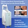 CE-certifikat Cryolipolysis Fat Freeze Machine Cryo Body Slimming Cryooskin T-Chock Skin Drawing