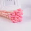 装飾的な花天然乾燥宝石草50pcs保存DIYブーケギフト自由hoho装飾パーティーdecortaionリビングルーム