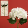 Kwiaty dekoracyjne 1PC sztuczna symulacja duża hortensja Wysokiej jakości prawdziwy dotyk fałszywy jedwabny bukiet nawilżanie