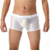 Underbyxor exotiska män boxare shorts nyhet se genom sömlösa gay trosor låg midja underkläder underkläder sissy slip homme trosor boxershort