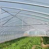 Thickened greenhouse film, agricultural film, plastic film, vegetable greenhouse