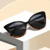 Sonnenbrillen YAMEIZE Cat Eye Sonnenbrille Frauen Männer Großen Rahmen Vintage Luxus Marke Designer Gradienten Sonnenbrille Uv400 Weibliche Neue Oculos De sol J231218