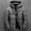 Men's Down Parkas Men's Winter Down Jacket With Hood Winter Warm Men Coat Casual Autumn Stand Collar Puffer Thick Hat White Duck Parka Male 231218