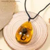 Hanger Kettingen GEITERI Schorpioen Amber Hanger Kettingen Voor Mannen Unisex Natuurlijke Waterdruppel Hars Insect Choker Sieraden Accessoires GroothandelL231218