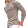 Herenhoodies Herfst Winter Hoodie met lange mouwen Geruit sweatshirt met capuchon Top Outdoor Lichtgewicht herentrui