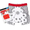 Unisex 2 pezzi/pacco Moda Intimo Slip Uomo costumi da bagno Cotone BOXER BRIEF Traspirante Lettera Mutande Pantaloncini 7 colori ydz