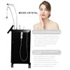 Trending 2 in 1 RF Fractional Microneedle Therapy System For Acne Scar Removal Gold RF Micro Needling For Stretchmarks Removal