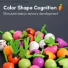 Sorteren Nesting Stacking Toys Kids Carrot Harvest Puzzle Montessori Toys Baby Trek radijs geheugen trainingspellen ouder-kind interactie educatieve Q231218