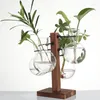 花瓶ガラスプランターバルブ花瓶スタンドテラリウム水耕栽培植物ビンテージ木製フレームテーブルトップ植物ホームガーデンの装飾