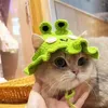 Costumes de chat chapeaux tricotés pour animaux de compagnie pour chats et chiens accessoires Cospaly coiffure grenouille mignon Cross-dressing