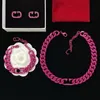 Collier de chaîne à chaîne rouge rose Bracelet Boucle d'oreille Hiphop Rock Rock Punk American Américain Torsion Torsion Slip à glissement