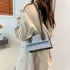 Fashion Women's Schouder Simple Western-Style Handtas Casual Small Square Bag Vrouwelijke herfst 2023 Nieuwe stijl CCJ3074