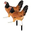 Garden Decorations Chicken Stake Stakes Sign Decoration Hen Ornaments Lawn