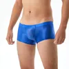 Underbyxor exotiska män boxare shorts nyhet se genom sömlösa gay trosor låg midja underkläder underkläder sissy slip homme trosor boxershort