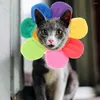 Costumes de chat en forme de tournesol, couvre-chef pour animaux de compagnie, chapeau de dessin animé, casquette en peluche pour petit chien