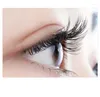 False Eyelashes Eyelash Extension Single Round Hair Densely Arranged Silk Matte 0.07 0.1 J/C/D Natural Soft Fluffy Mink Lashes