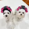 Abbigliamento per cani Parrucche per capelli ricci di Halloween per animali domestici Costume da vestire con cinghie regolabili Fibbia Regali unici per cani Gatti