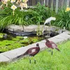 Garden Decorations Landscape Decorative Animal Pheasant Decoration Outdoor Insert