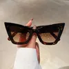 Güneş Gözlüğü GM Lumias Vintage Cat Göz Güneş Gözlüğü 2023 Moda Büyük Boyutlu Kelebek Şekli Gölgeler Gözlük Lüks Marka Tasarım UV400 Güneş Gözlükleri J231218