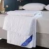 Sängkläder sätter vattentät sängfläck på sängen King Size Bed Cover quiltad madrass Pad Washable Madrass Protector för husdjursbäddslinne 231218