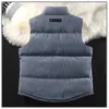 Gilet da uomo Gilet invernale in cotone di velluto a coste premium per uomo Addensare giacca calda senza maniche Coppia unisex Gilet casual con cartella