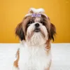 Appareils pour chiens Animaux attrayants Clipt de cheveux Anti-Rust Headwear en acier inoxydable Forme d'arc délicate Bowknot à cheveux délicat