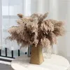 装飾的な花自由hoh弾ウェディングフラワーアレンジメント乾燥パンパスグラスの装飾人工パンパ天然花束ホームデコレーションDIYクラフト