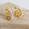Ladies Exquisite Earrings Stainless Steel Plated 18k Gold Geometric C-Shaped Pearl Earrings High Quality Party Earrings Gift Pair