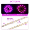 Grow Lights Full Spectrum Phyto Lamp USB 5V LED Light Strip Tape 2835 SMD Plant Flower inomhus växthusfrön Cultivo Hydroponic