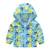 Vestes à capuche pour enfants de 2 à 3, 4 et 8 ans, vêtements d'extérieur de printemps, manteau pour bébés filles, vêtements coréens pour tout-petits, pull pour garçons