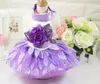 Ropa para perros Disfraz de cachorro Vestido de encaje Verano Mascota Princesa Tutu Ropa Dulcemente Flor de peluche para pequeños 2 colores