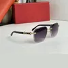 Holzsonnenbrille, übergroße Herren-Sonnenbrille, Vintage-Designer, neu im Trendprodukt, Luxus-Carter-Fahrbrille