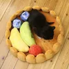 kennels pens Kawaii Fruit Tart Dog Cat Bed House Cotton Cake Shaped Pet Kennel Home Funny Cute Puppy Kitten Washable Nest Winter Warm Cushion 231218