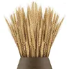 Decoratieve bloemen 100 stuks natuurlijke gedroogde tarwestengels droge spikes voor decoratieboeket Boho Home tafels bruiloftsfeest open haard decor