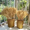 装飾的な花100 PCS天然乾燥小麦の茎装飾用のドライスパイクブーケボーホーテーブルウェディングパーティーの暖炉の装飾