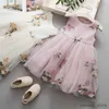 Girl's Dresses Infant Princess Dress for Girls Mesh Summer Girl Dress One Piece Toddler Clothes Boutique Clothing Girls Fashion First Year