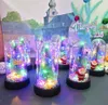 Lighted Up Artificial Mini Christmas Tree LED String Pine Sisal Trees with Wooden Base in Clear Case Home Xmas Holiday Party Decorations