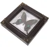 Frames po -display houder diy frame home decor handgemaakte specimen vlinders insectenwandhangen