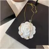 Colares de pingente de luxo designer de moda colar gargantilha corrente 925 sier banhado 18k carta de aço inoxidável para mulheres jóias gota ot1q0