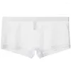 Calzoncillos Ropa interior para hombre para hombres Boxershorts transparentes ultrafinos Malla de encaje Sheer Male Cómodo Lencería transpirable