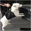 개 칼라 가죽 끈 개 칼라 가죽 끈을 깎는 슬링 리프트 원조 ACL 브레이스 오래된 Lim Pet Assist Rehabilitation DHP2X.